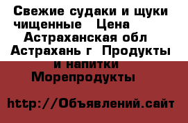 Свежие судаки и щуки чищенные › Цена ­ 120 - Астраханская обл., Астрахань г. Продукты и напитки » Морепродукты   